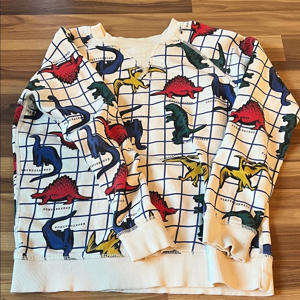 Hanna Andersson Multicolor Dinosaur Kids Sweatshirt